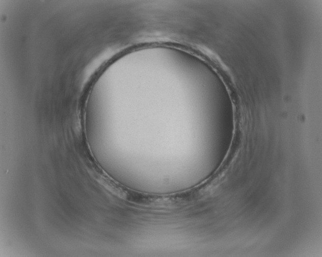 X0000071971167200607282051