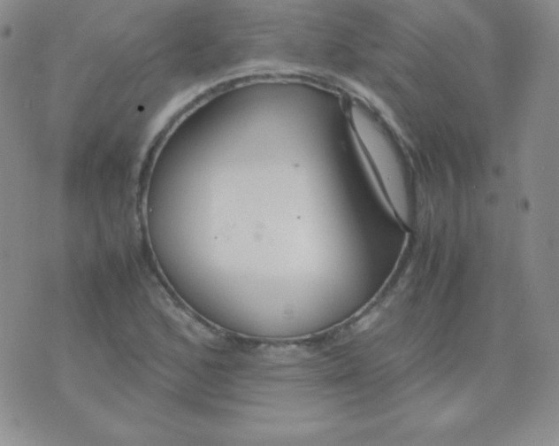 X0000071971168200607282051