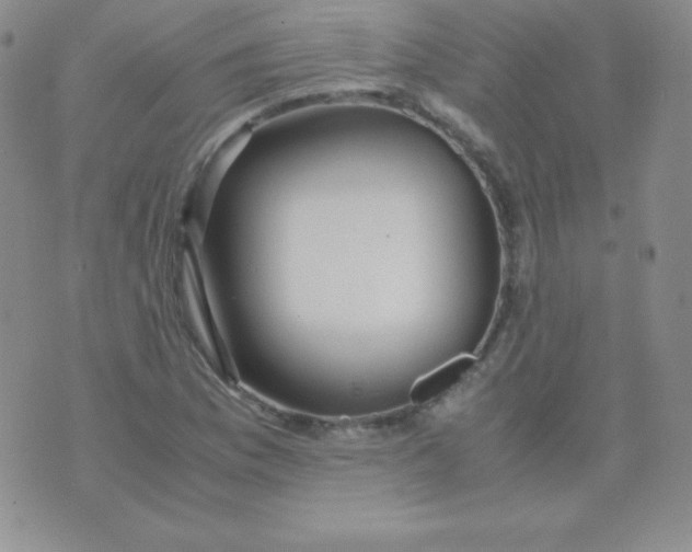 X0000071971169200607282051