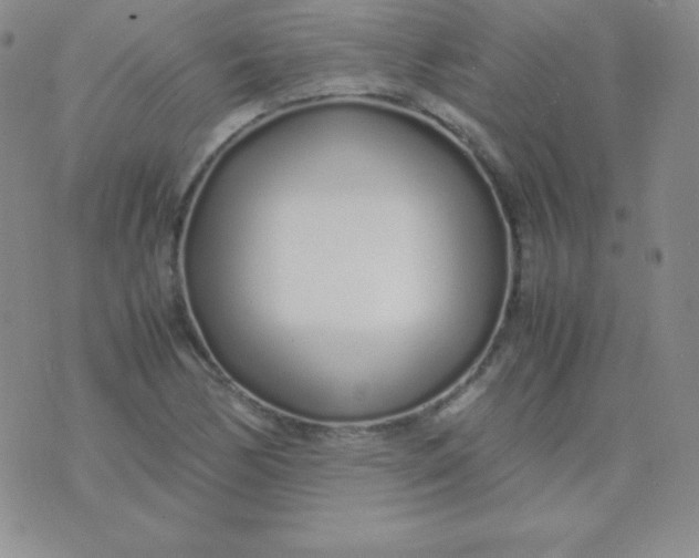 X0000071971170200607282051