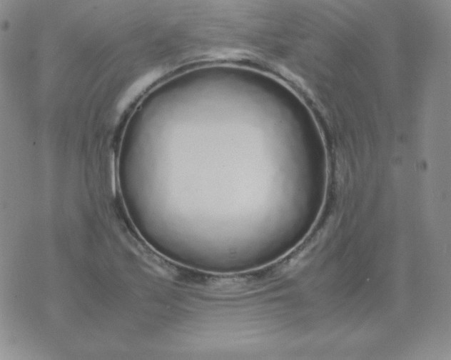 X0000071971171200607282051