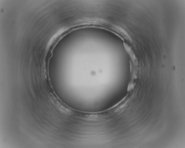 X0000071971172200607282051