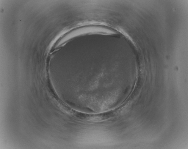 X0000071971173200607282051