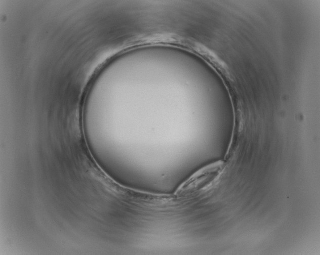 X0000071971174200607282050