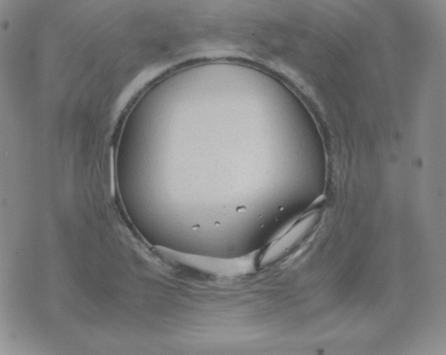 X0000071971175200607282050