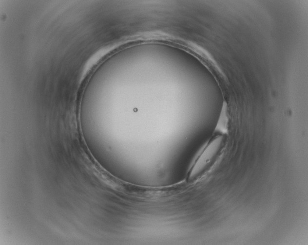 X0000071971176200607282050