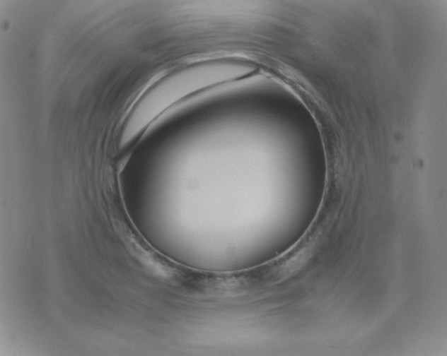 X0000071971177200607282050