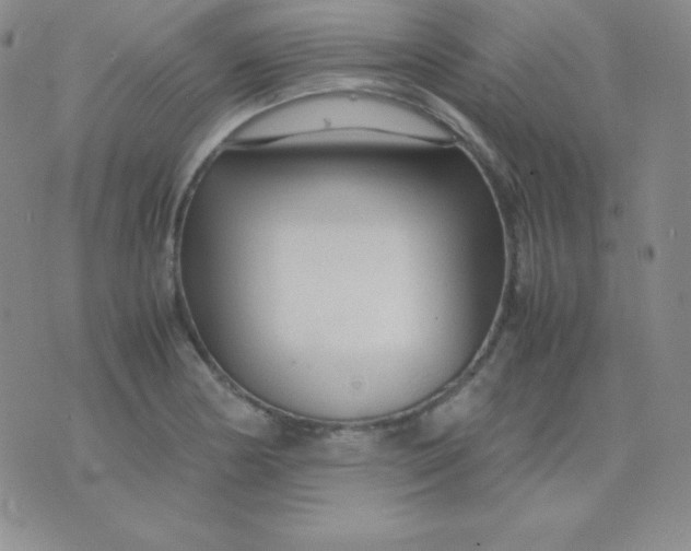 X0000071971178200607282050