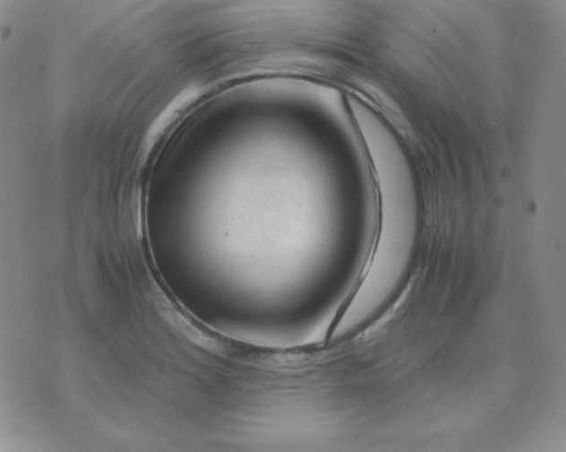 X0000071971180200607282050