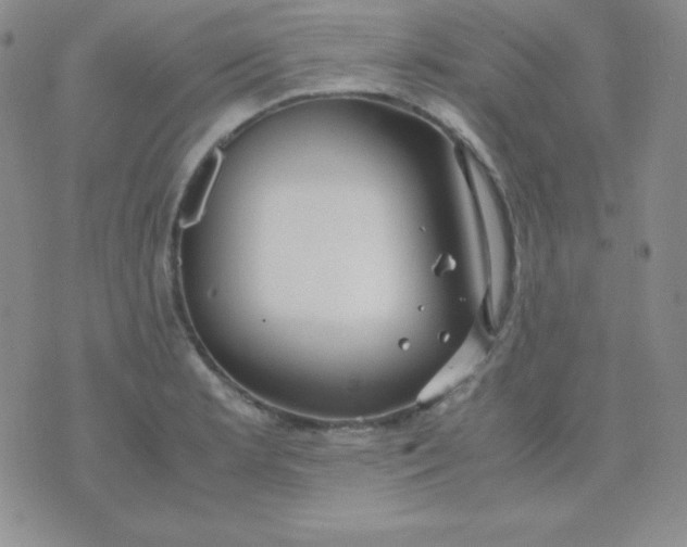 X0000071971181200607282050