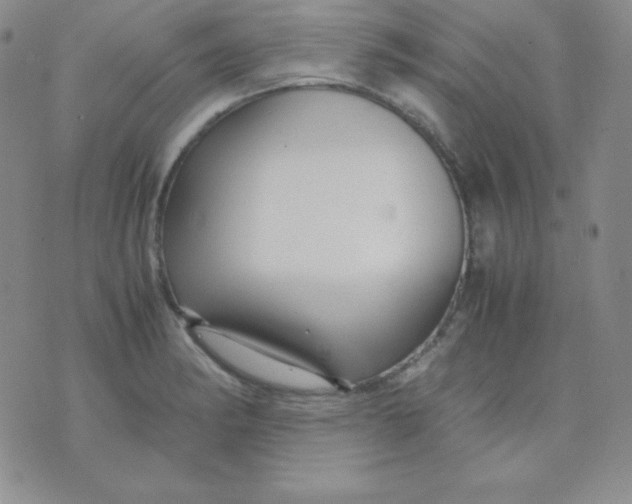 X0000071971182200607282050