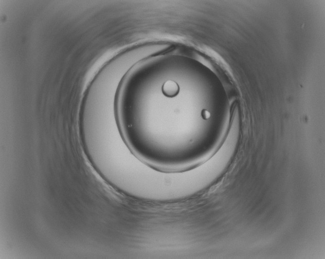 X0000071971183200607282050