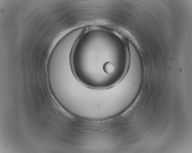 X0000071971184200607282050