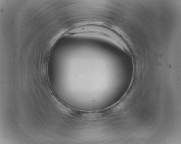 X0000071971185200607282050