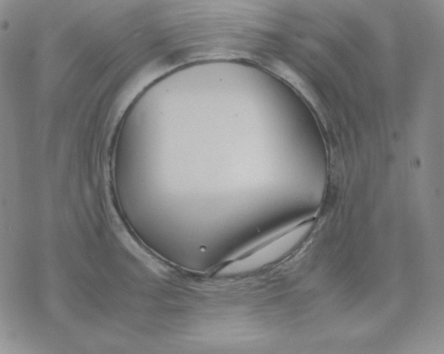 X0000071971187200607282050