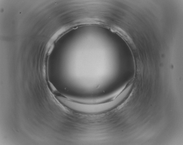 X0000071971188200607282050