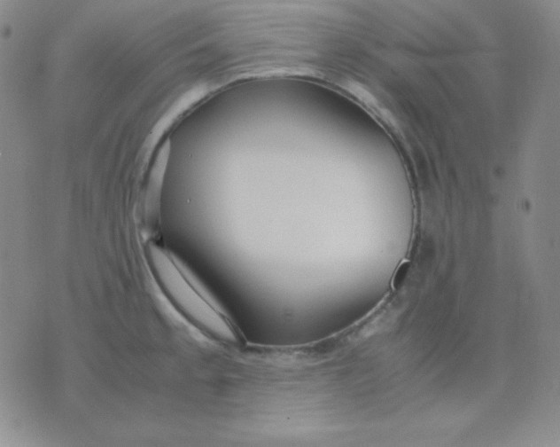 X0000071971189200607282050