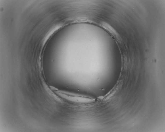 X0000071971190200607282050