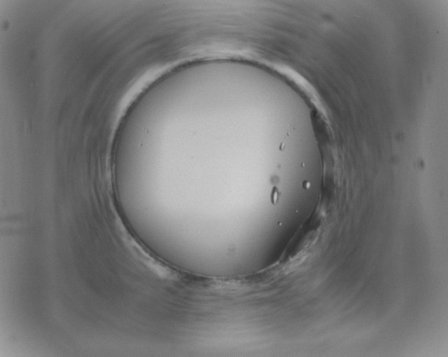 X0000071971191200607282050