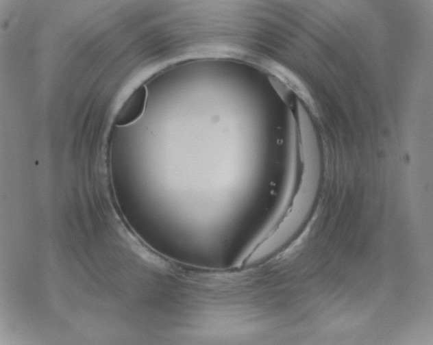 X0000071971192200607282050