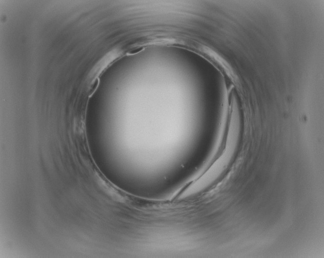 X0000071971193200607282050