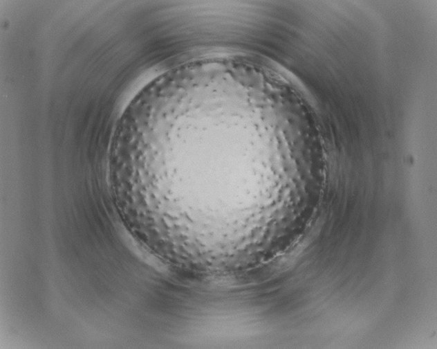 X0000071971194200607282050