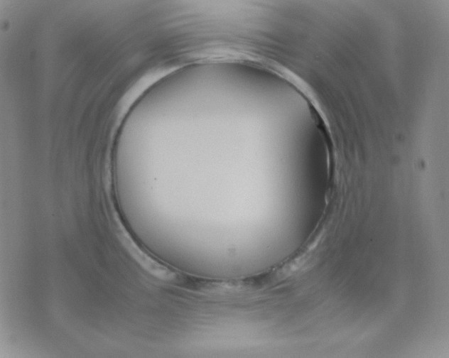 X0000071971195200607282050