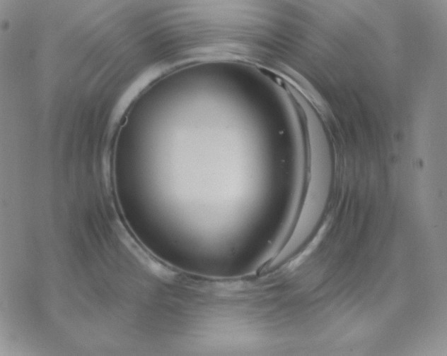 X0000071971196200607282050