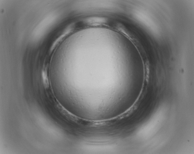 X0000071971198200607282050