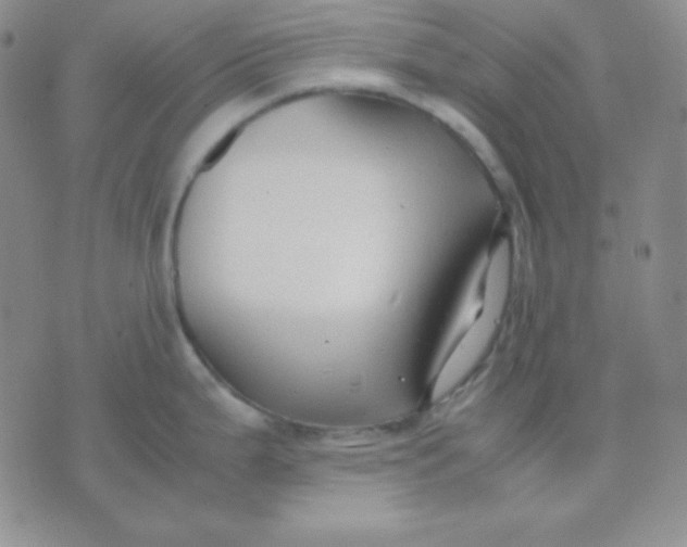 X0000071971199200607282050