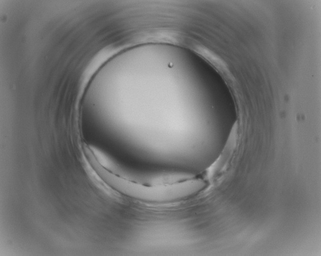 X0000071971200200607282050