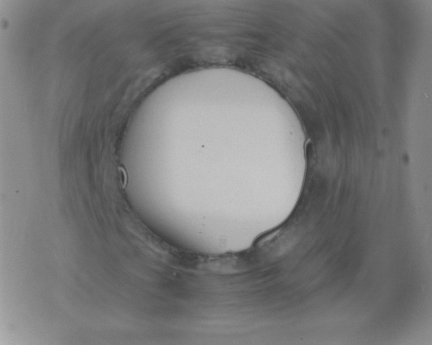 X0000071971201200607282049