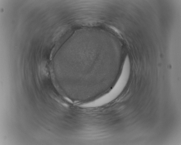 X0000071971202200607282049