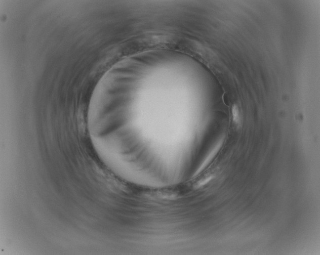 X0000071971203200607282049