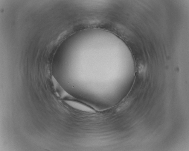 X0000071971204200607282049