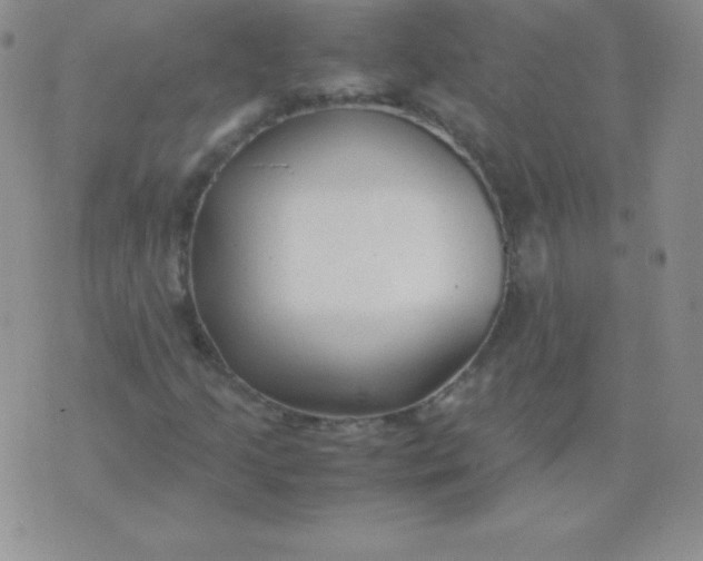 X0000071971205200607282049