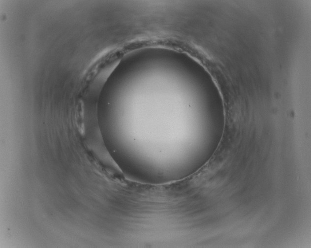 X0000071971206200607282049