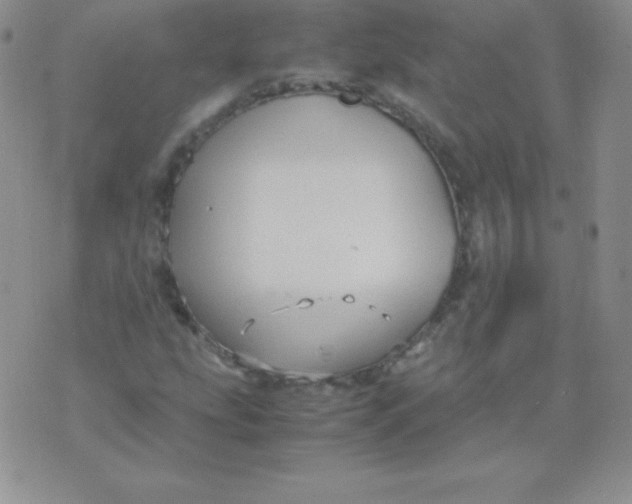 X0000071971207200607282049