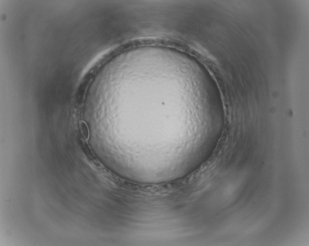 X0000071971208200607282049