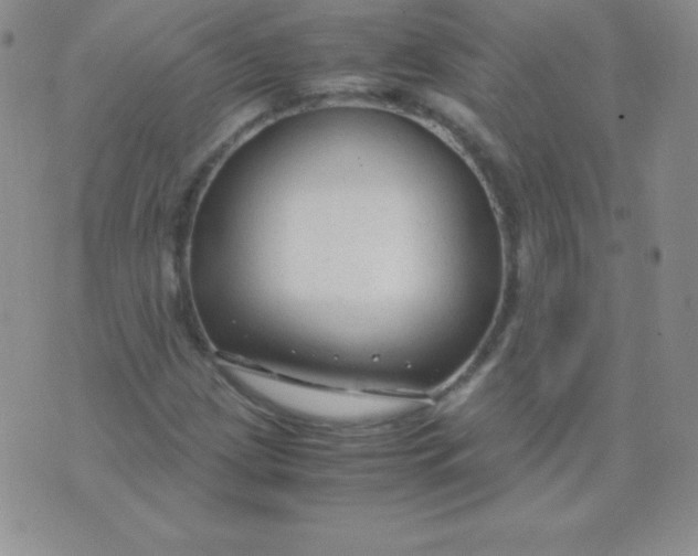 X0000071971209200607282049