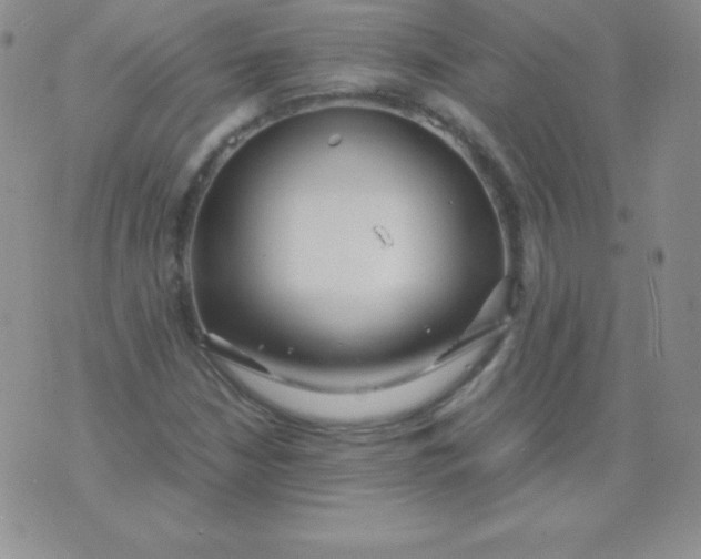 X0000071971210200607282049