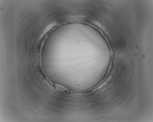 X0000071971211200607282049