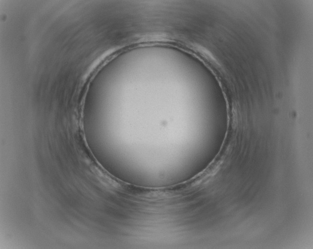 X0000071971212200607282049