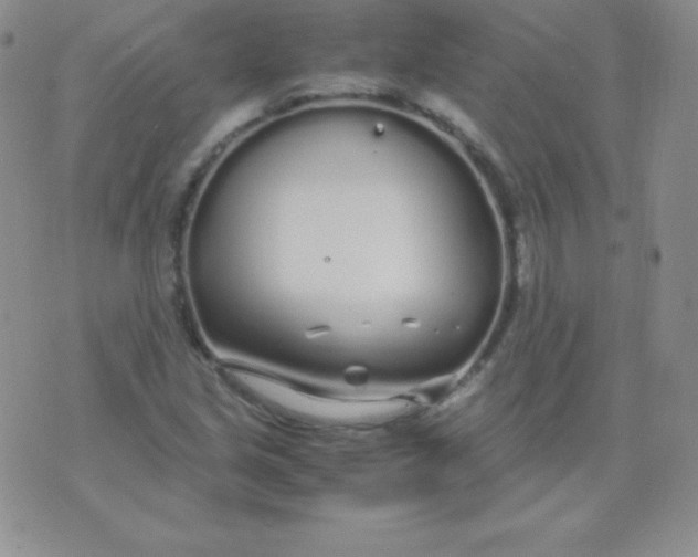 X0000071971213200607282049