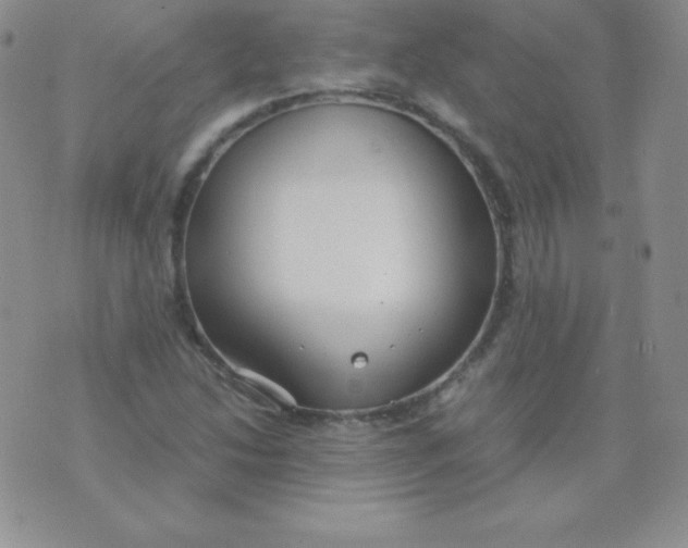 X0000071971214200607282050