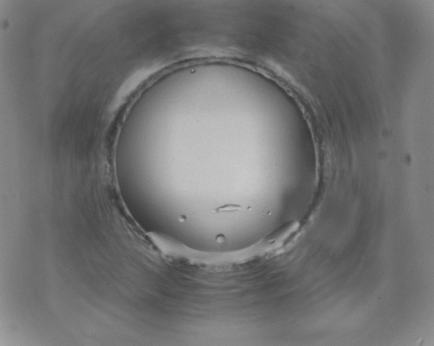 X0000071971215200607282050