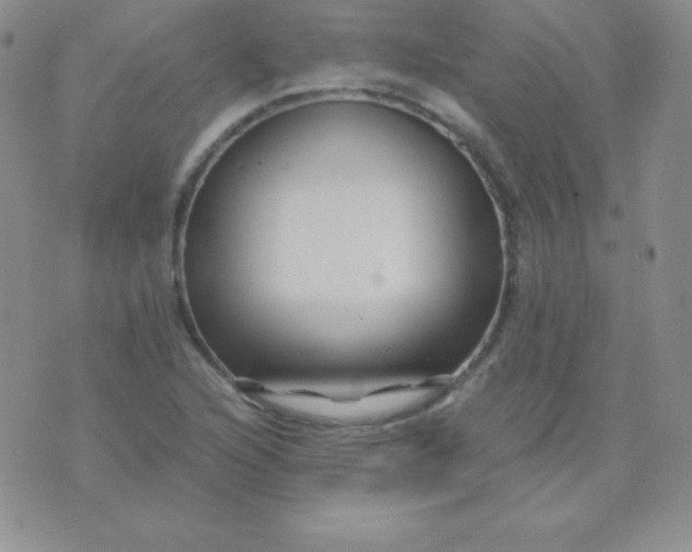 X0000071971216200607282050