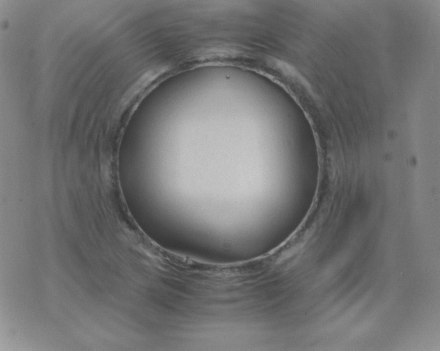 X0000071971217200607282050