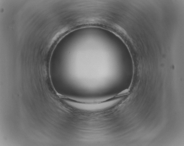 X0000071971218200607282050