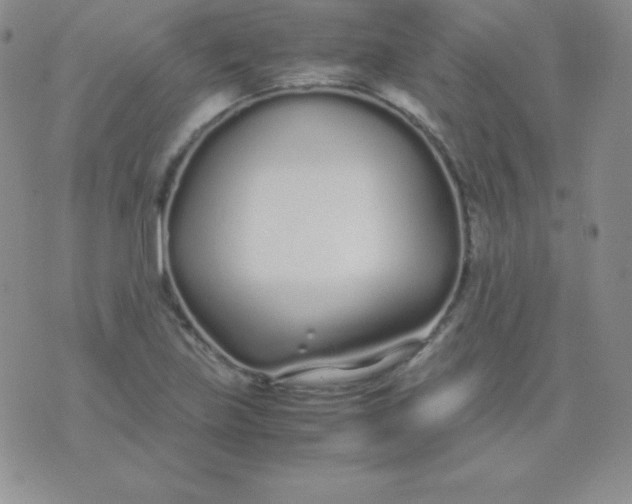 X0000071971219200607282050